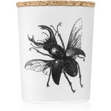 Vila Hermanos Insect Lucanus Cervus mirisna svijeća 75 g | shoptok.hr