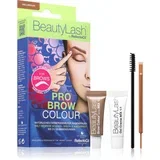 Pro Brow Colour barva za obrvi odtenek Light Brown 1 kos