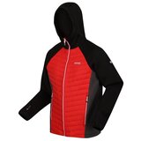 Regatta Jakne Hybridjacke Andreson Vii pisana | Shoptok.si
