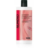 Brelil Numéro Colour Protection Shampoo šampon za barvane lase 1000 ml