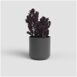 Artevasi keramičen cvetlični lonec ø 14 cm juno – | Shoptok.si