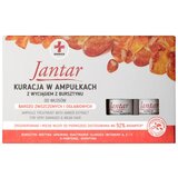 Ideepharm Medica Jantar obnovitvena kura za poškodovane in krhke lase 5 x 5 ml | Shoptok.si
