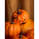 Sinsay Dekorativne Halloween bundeve 6 komada | shoptok.hr