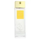Cedro Musk 100 ml parfumska voda unisex