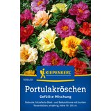 KIEPENKERL Velecvetni tolščak polnjena mešanica - 1 pkt. Cene