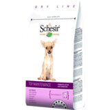 Schesir Hrana za pse Maintenance Toy Adult, Piletina Cene