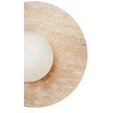 Opviq zidna lampa tor nun | Eponuda.com