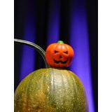 Sinsay igračka protiv stresa Halloween 034BR-22X | shoptok.hr
