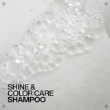Redken Acidic Color Gloss osvetljevalni šampon za barvane lase 300 ml | Shoptok.si