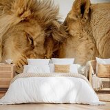 Artgeist Fototapeta Lion Tenderness, 200x140cm | Shoptok.si