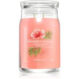 Yankee Candle Tropical Breeze dišeča sveča Signature 567 g | Shoptok.si