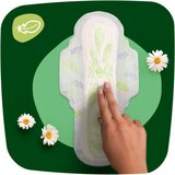 Naturella Ultra Night Plus higijenski ulošci za noć 24 kom | shoptok.hr