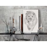  Slika za samostalno slikanje - White Lion 40x60 | shoptok.hr