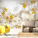  Tapeta - Sunny Alstroemeria 250x175 | shoptok.hr