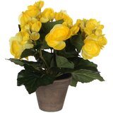 V Umjetna biljka Begonija (Visina: 25 cm, Žute boje, Plastika) cijene
