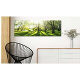  Slika - Rays of Sunshine 120x40 | shoptok.hr
