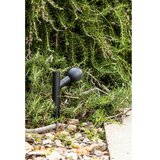 Faro 75570 - Spoljašnja LED lampa BROT LED/7W/230V 20 cm IP65 | Eponuda.com