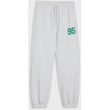 Sinsay Jogger trenirka hlače | shoptok.hr