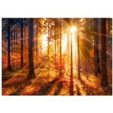  Samoljepljiva foto tapeta - Autumnal Time 98x70 | shoptok.hr