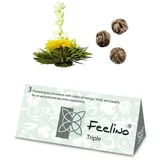 Feelino cvjetovi čaja, 6 različitih sorti, pojedinačno pakirani, vrlo produktivni