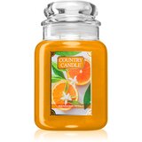 Country Candle Mandarin Petals dišeča sveča 737 g Cene