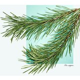 Tiffany & Co. Tiffany & Love parfemska voda za žene 50 ml | shoptok.hr
