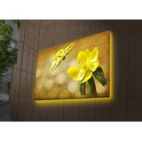 Wallity Zidna slika sa LED osvetljenjem 4570DACT-72, 45x70 cm | Eponuda.ba