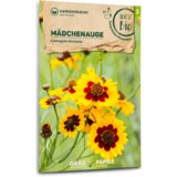 Samen Maier BIO Lepe očke | Shoptok.si