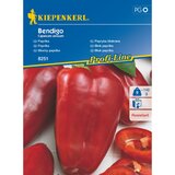 KIEPENKERL Blok paprika Bendigo Kiepenkerl (Capsicum annuum) | Shoptok.si