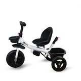 Jungle Girotto 2u1 Tricikl za decu | Eponuda.com