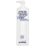 Easy Care T Rescue Shampoo zaštitni šampon protiv opadanja kose 1000 ml