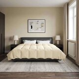  Ljetni pokrivač Šonerisan Krema 240 x 260 cm Mikrovlakna - Krema 260 x 240 cm | shoptok.hr
