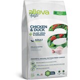 Diusapet alleva hrana za pse holistic mini adult - piletina i pačetina 12kg Cene