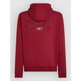 O'neill Must-Have Hoodie tamarillo | Shoptok.si