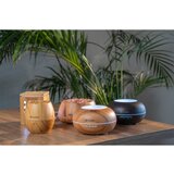 Truelife AIR aroma difuzor D3 Light, (21228084) | Shoptok.si