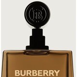 Burberry Hero Eau de Parfum parfemska voda za muškarce 100 ml | shoptok.hr