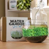 Grow it - Vzgoji svoj lastni vodni vrt