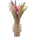 Plant in a Box posušeno cvetje - bouquet 'trendy vibrant' - šopek - roza, (21758376) | Shoptok.si