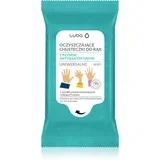 Antibacterial Wet Wipes vlažne maramice za čišćenje za ruke 15 kom