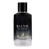 Parfem Salvo parfumirana voda za moške 100 ml | Shoptok.si
