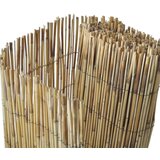 vidaXL Vrtna ograja iz trsja 500x100 cm | Shoptok.si