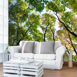  Tapeta - Looking up at the trees 400x309 | shoptok.hr