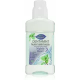 Bione Cosmetics Dentamint Nightly Reset ustna voda za noč 265 ml