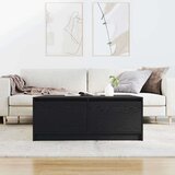 vidaXL Kavna mizica s predali črni hrast 100x100x40 cm | Shoptok.si