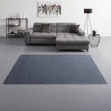 Modern Living Ravno Tkana Preproga Toronto 3 | Shoptok.si