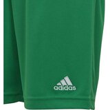 Adidas Športne hlače 'Entrada 22' travnato zelena | Shoptok.si