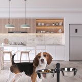 Love Story komplet posod s podstavkom za pse iz nerjavečega jekla | Shoptok.si