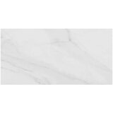 Eco Ceramic Essential White 60x120 M75 Cene