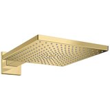 Hansgrohe raindance e 300 tuš ruža 1 jet sa zidnim priključkom 26238990 Cene