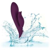 California Exotic Novelties Vibrator Obsession Desire (R14837) | Shoptok.si